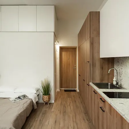 Air 204 Apartment Vilnius